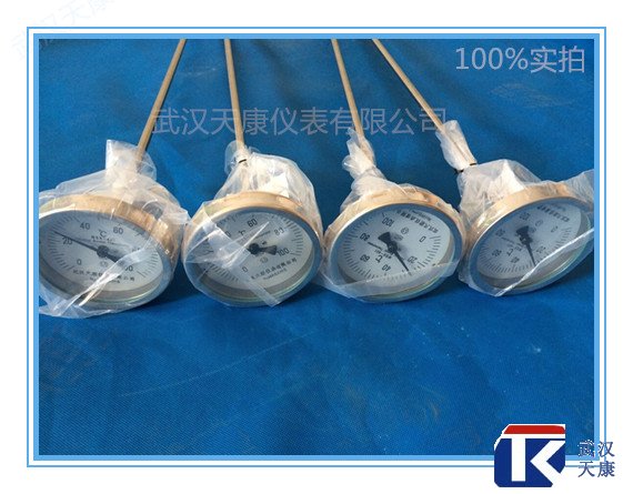 軸向型雙金屬溫度計：WSS-301/401/501